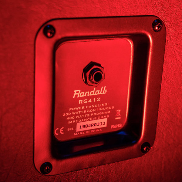 closeup of back of Randall amplifier